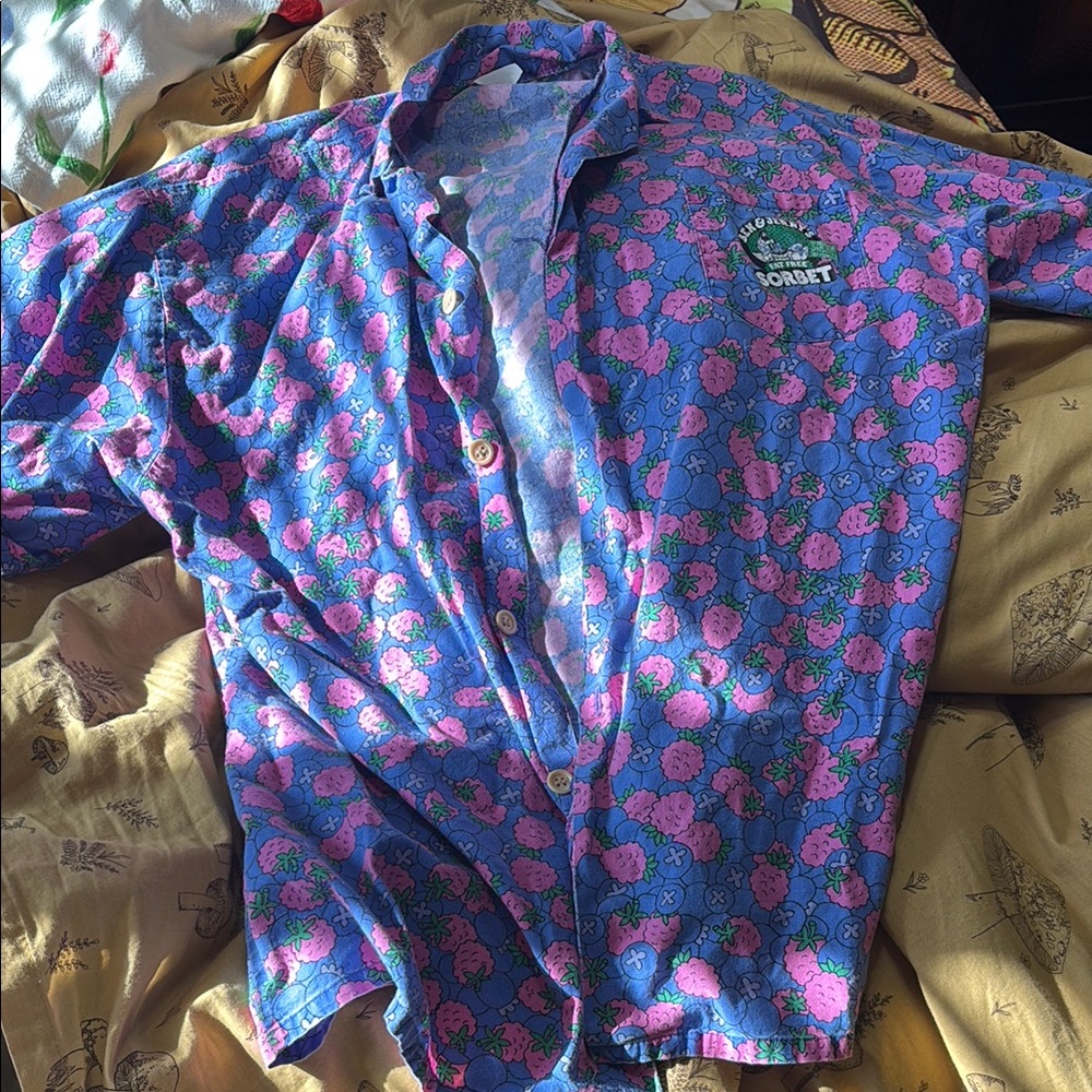 Vintage Ben and Jerry’s button up